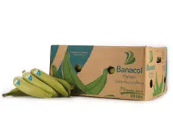 Plantain Box