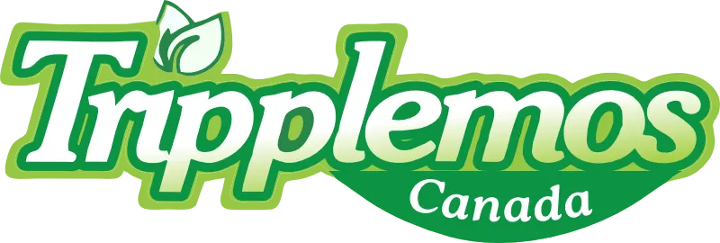 Tripplemos African Store, Brampton, Ontario