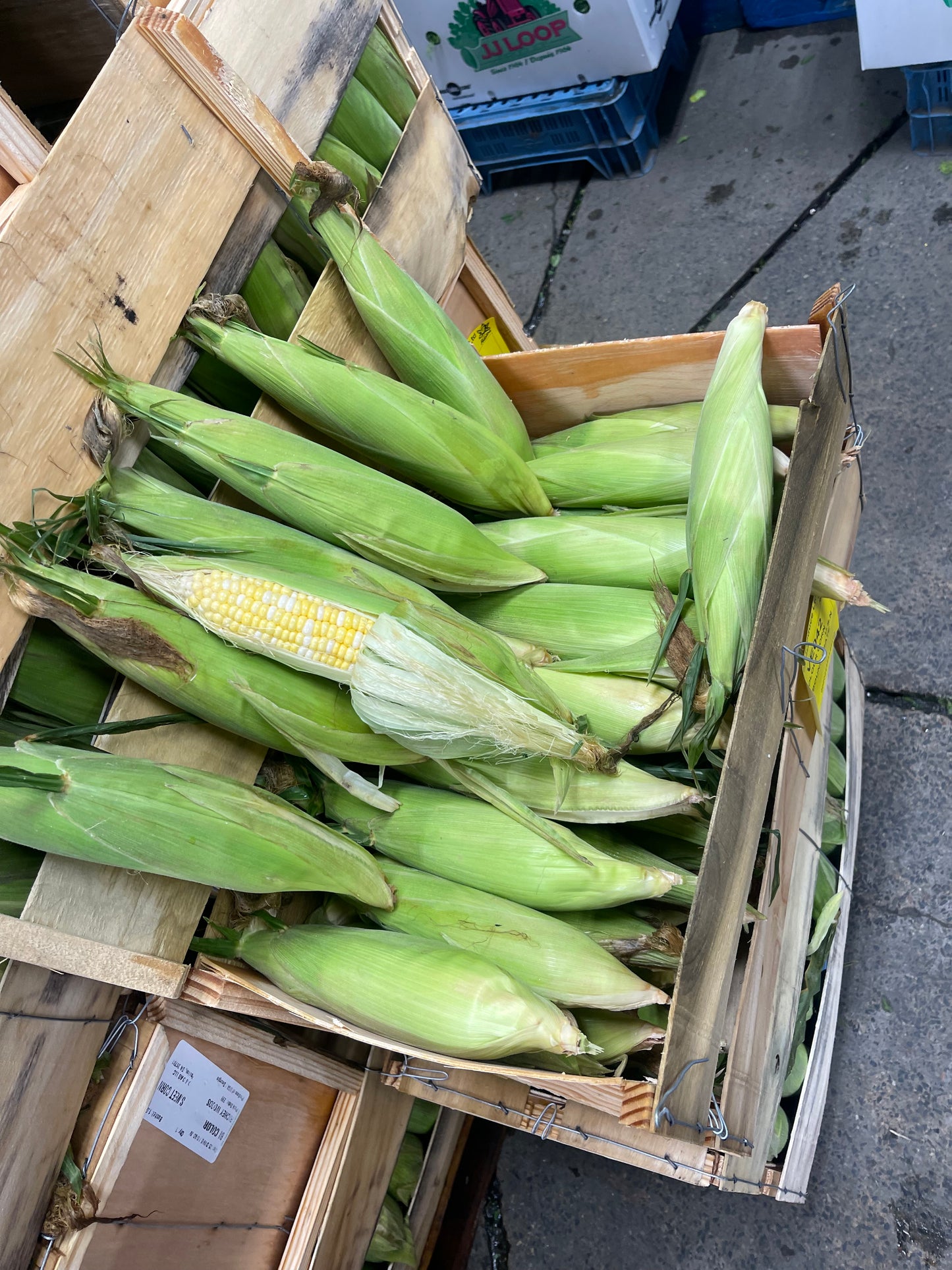 Sweet Corn Box, 42 Pieces, Organic