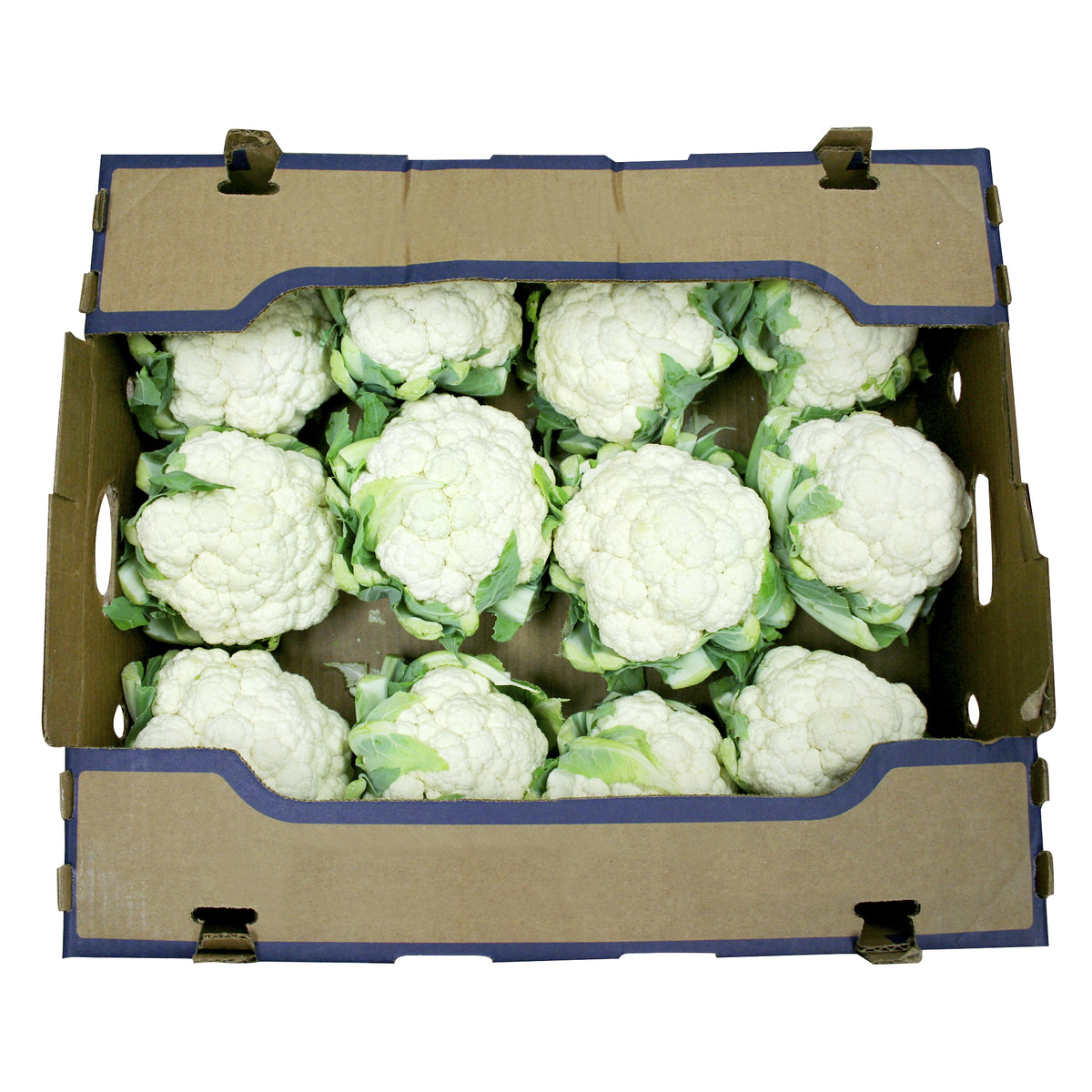 Fresh Cauliflower Case, 9 pieces