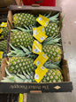 Pineapple Box, 6 pieces, Green, Organic