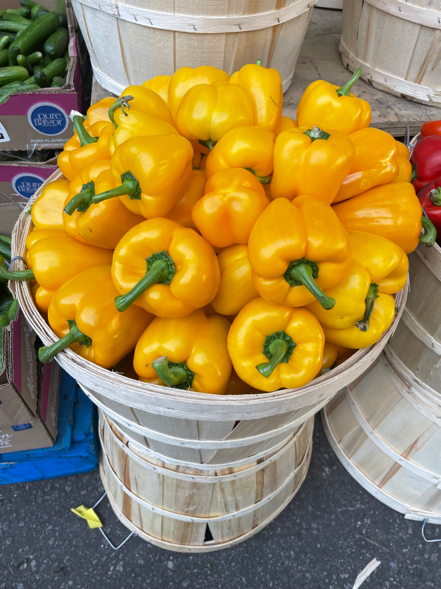 Organic Yellow Bell Peppers, Full Bushel, 25lbs. Limited availability.