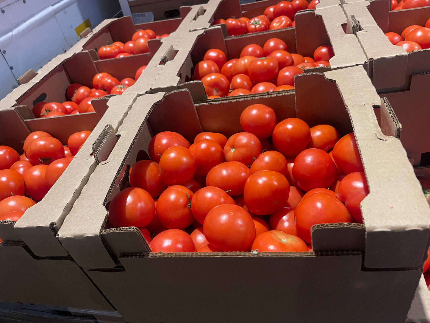 Tomatoes beef steak box, 1/2 bushel 25lbs, Organic. Limited availability.