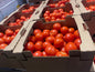 Tomatoes beef steak box, 1/2 bushel 25lbs, Organic. Limited availability.