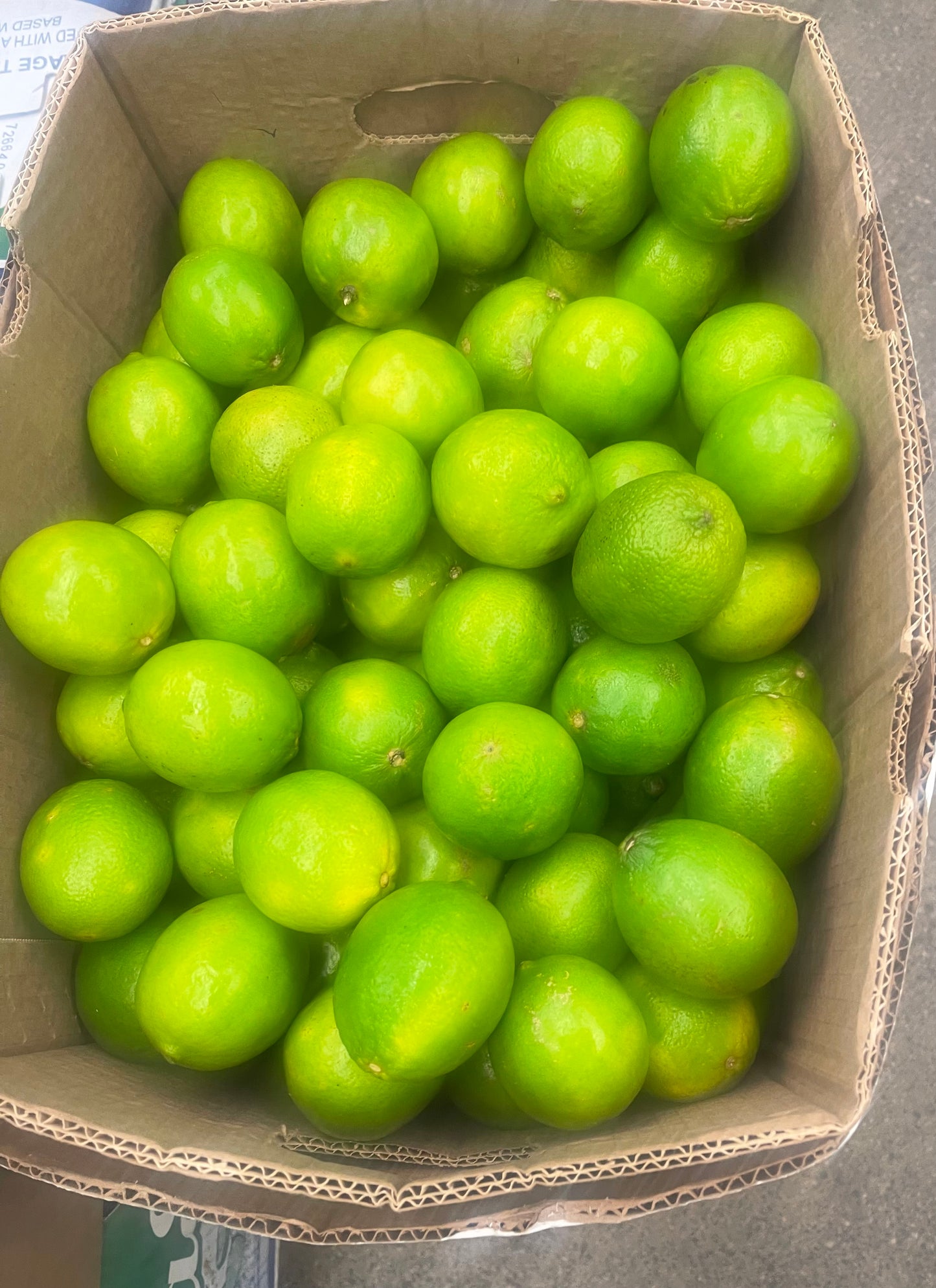 Limes, 175 Pieces