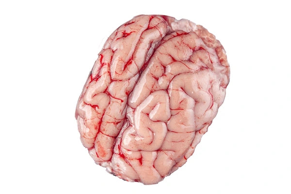 Beef Brain, 2lbs, Organic, Halal