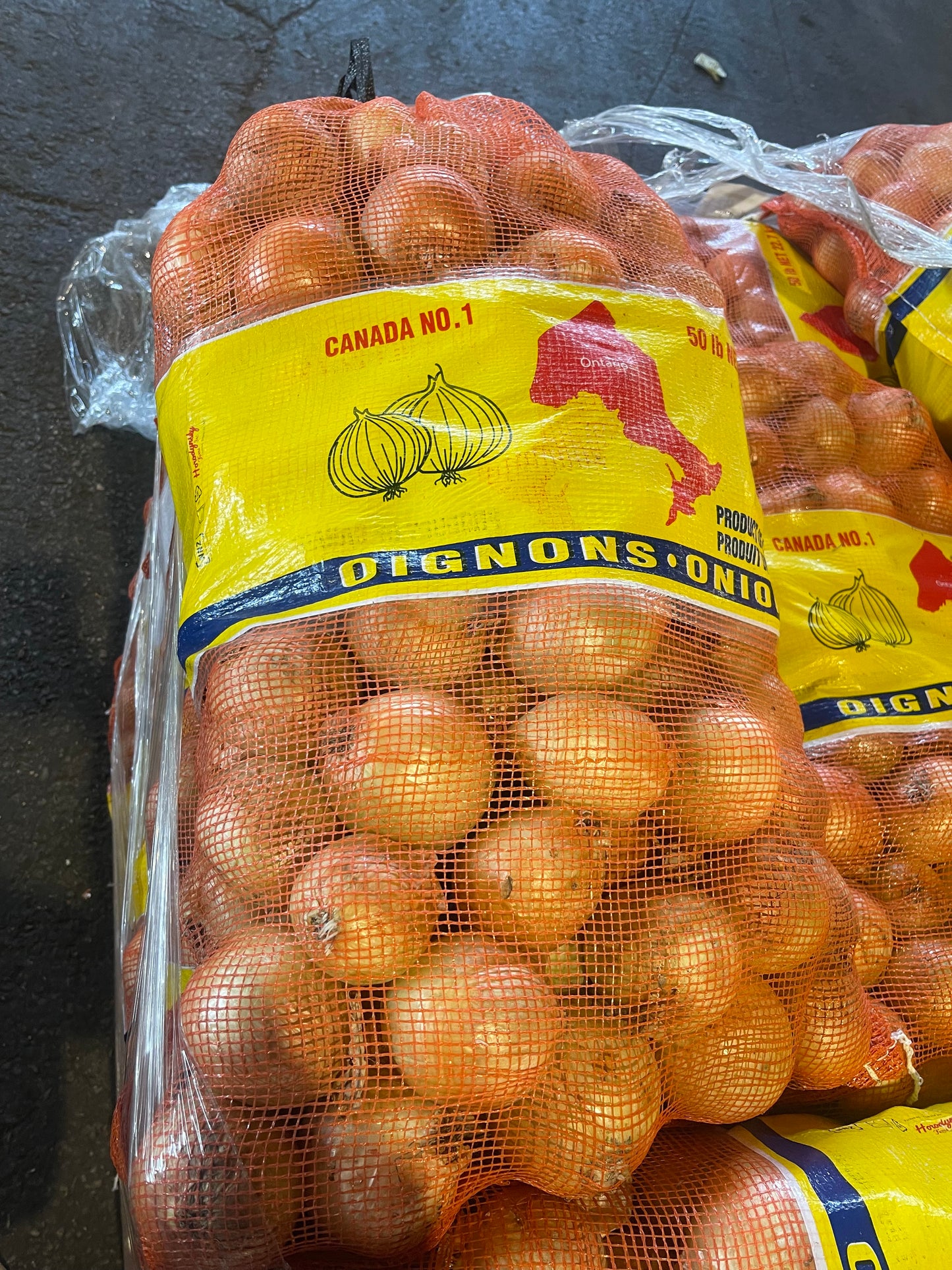 Yellow Onions, 50lbs, Organic