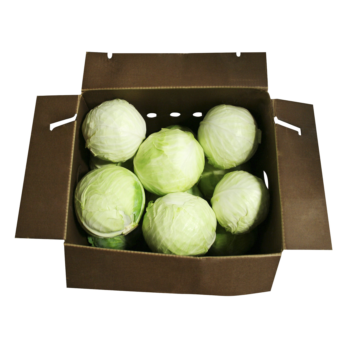 Green Cabbage, 12-14 Pieces, Organic