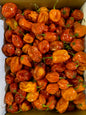 Orange Habanero 8lbs (pre-order Winnipeg)