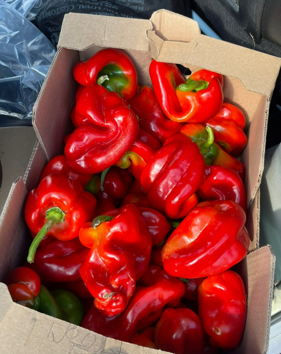 Organic Shepherd Peppers, Full Bushel 25lbs Box. Limited Availability.