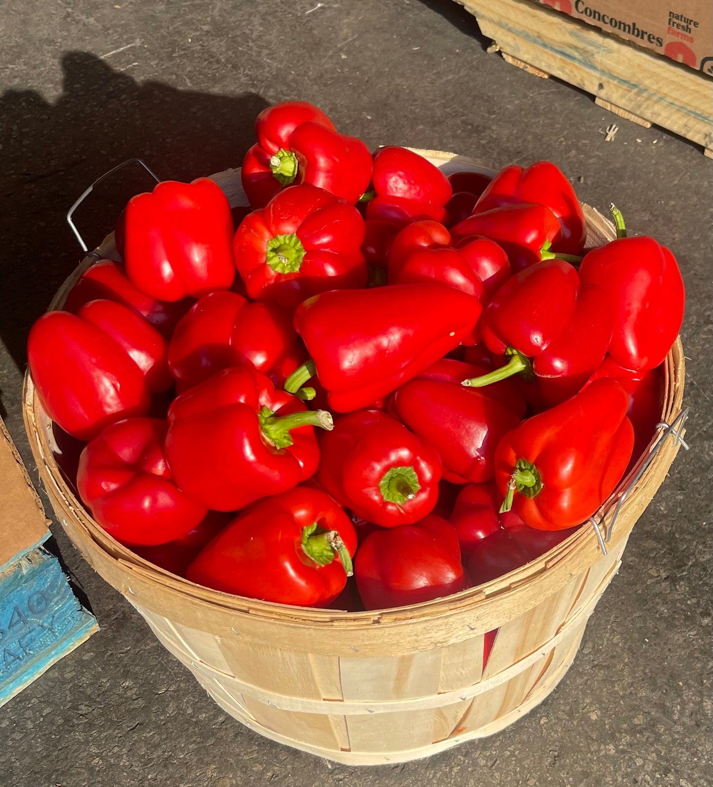 Red Bell Peppers, Full Bushel, 40lbs, Organic. Limited availability.