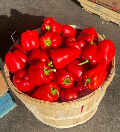 Red Bell Peppers, Full Bushel, 25lbs, Organic. Limited availability.