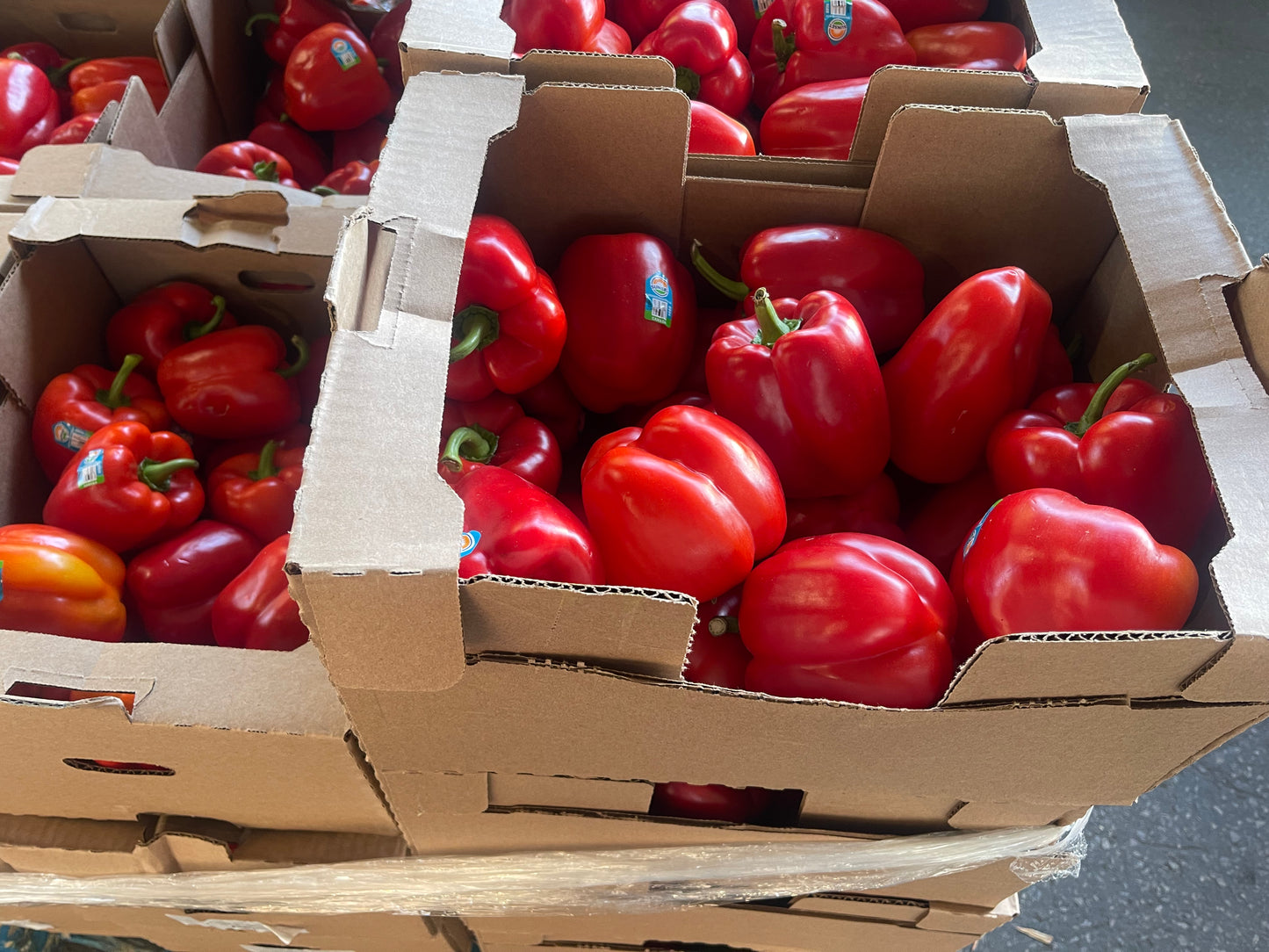 Red Bell Peppers, 1/2 Bushel Case, 11lbs, Organic. Limited Availability.