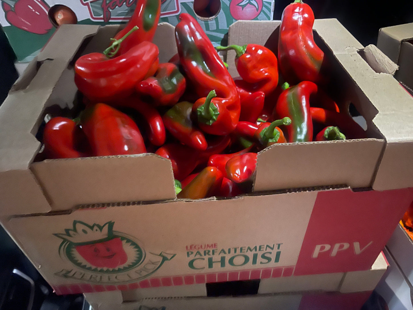 Organic Shepherd Peppers, Half Bushel 11lbs Box. Limited Availability.