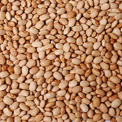 Honey Beans (Oloyin), 50lbs