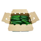 Zucchini Case (20lbs), 10lbs per buyer, Organic